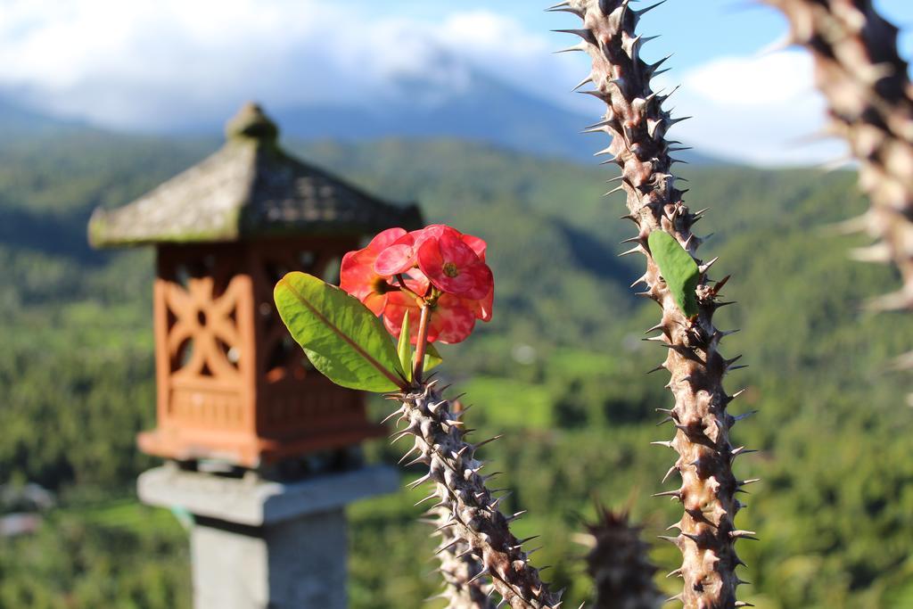 One Homestay And Warung Munduk Eksteriør billede